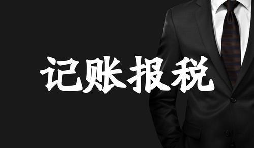 新成立的公司記賬報稅方面有哪些選擇？