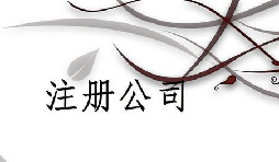 注冊(cè)公司為什么推薦找代理注冊(cè)公司的機(jī)構(gòu)呢？