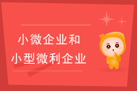 小微企業(yè)和小型微利企業(yè)有什么區(qū)別？